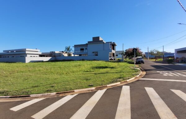 WhatsApp Image 2025-12-01 at 15.33.46 (1)